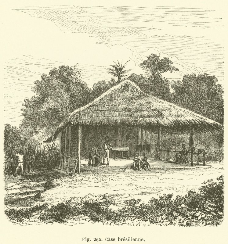 Casa brasiliana da European School