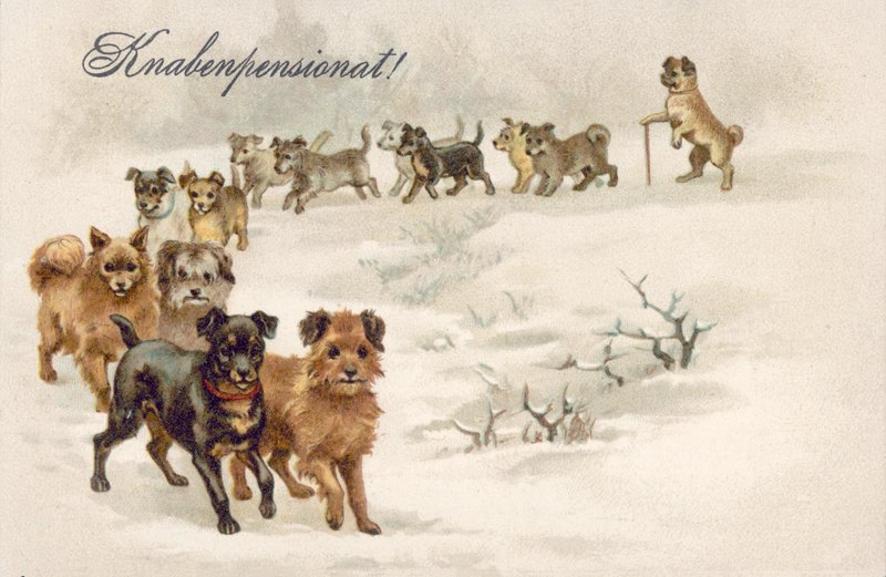 Cartolina con cane (litografia a colori) da European School