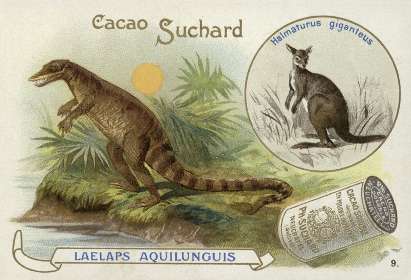 Dryptosaurus e canguro da European School