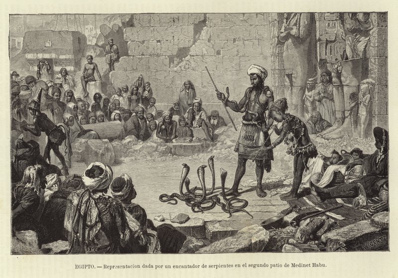Egitto - Dimostrazione di un incantatore di serpenti da European School