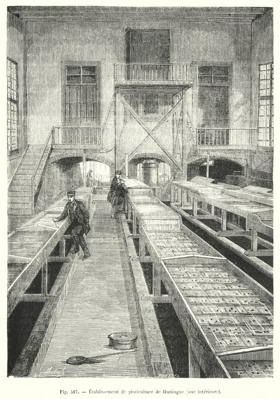 Stabilimento di piscicoltura di Huningue, vista interna da European School