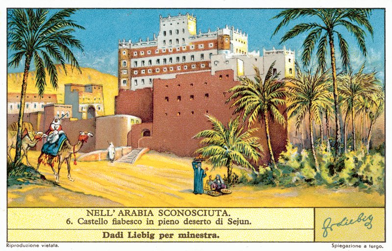 Castello da fiaba nel deserto a Sejun da European School