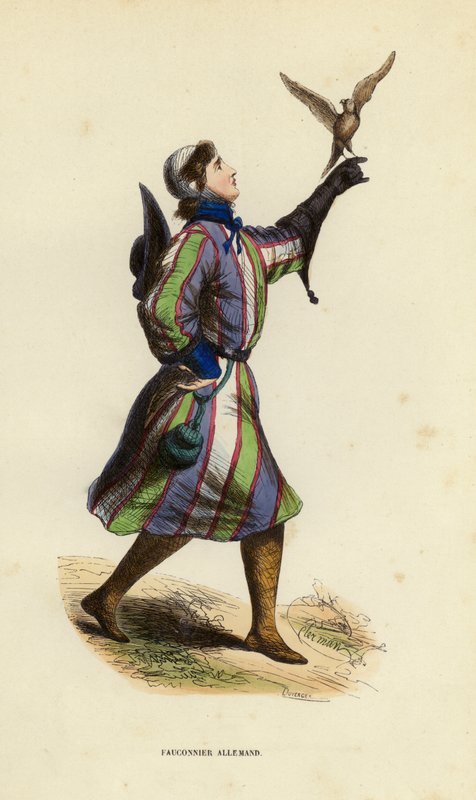 Falconiere tedesco da European School
