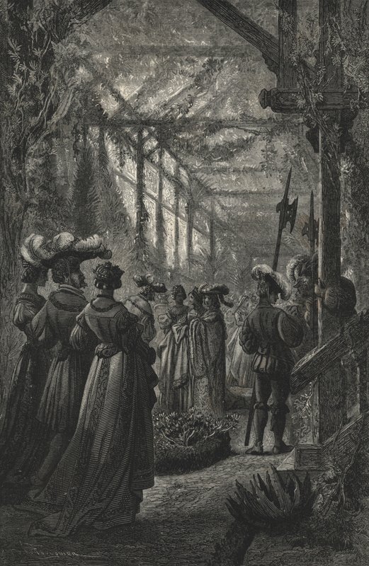 Festa in una serra, da un