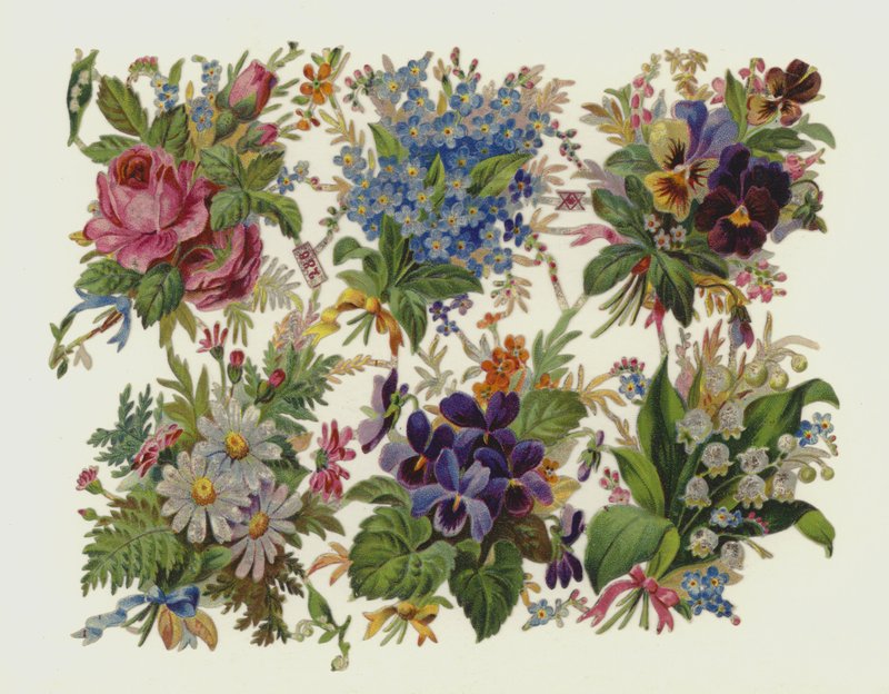 Fiori da European School