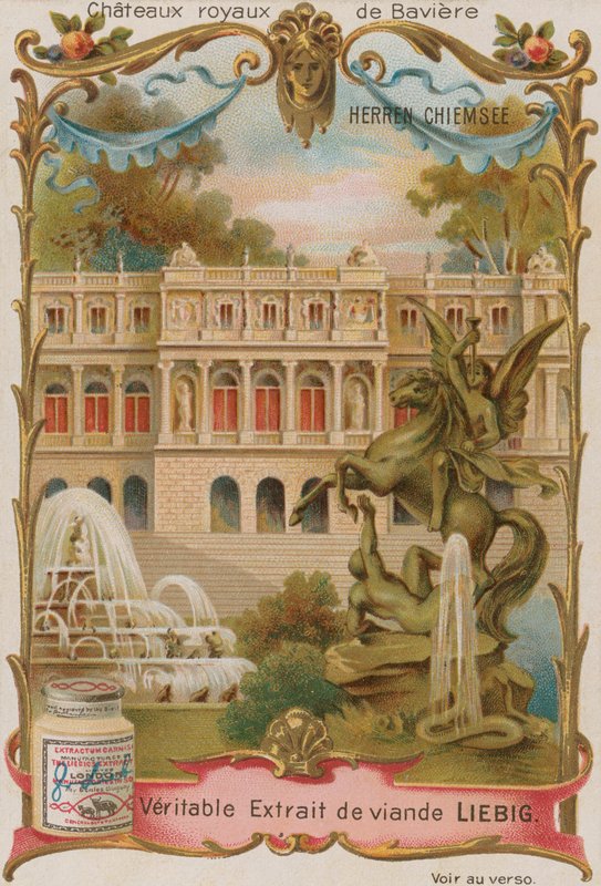 Herren Chiemsee da European School