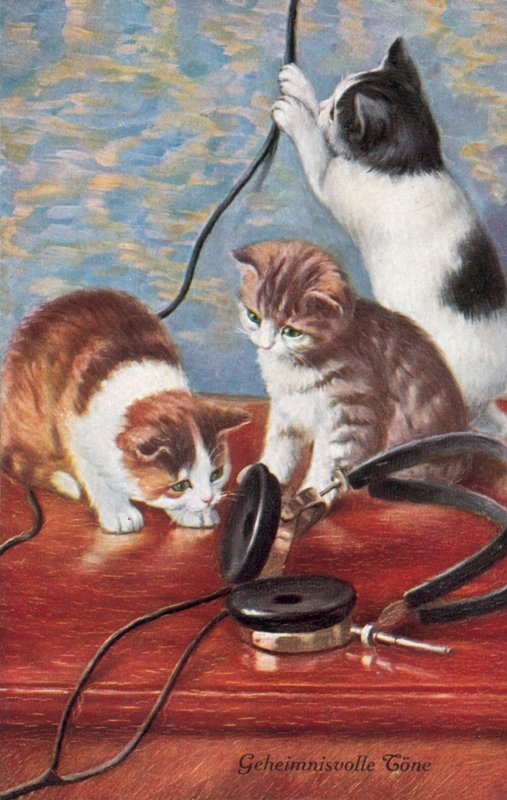 Cartolina umoristica con gatto (litografia a colori) da European School