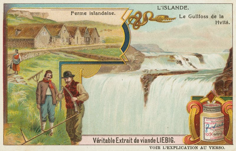 Fattoria islandese e Gullfoss (Cascate d