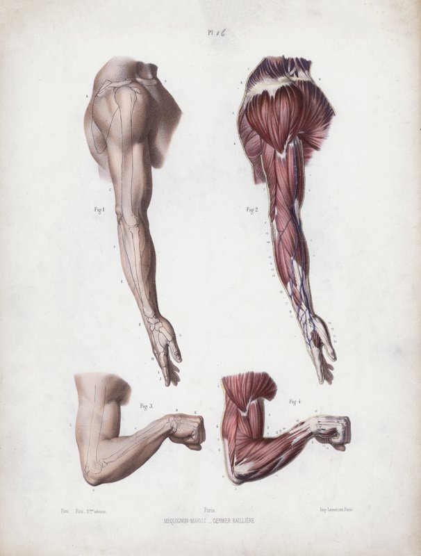 Illustrazione per L