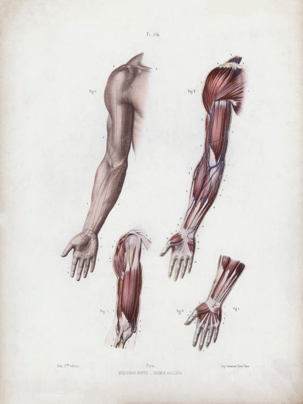 Illustrazione per L