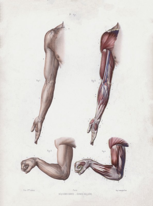 Illustrazione per L