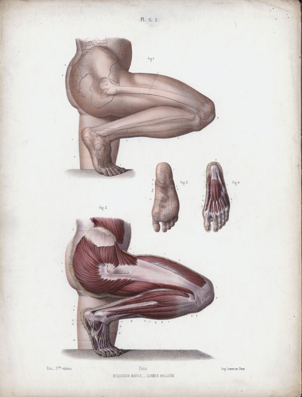 Illustrazione per L