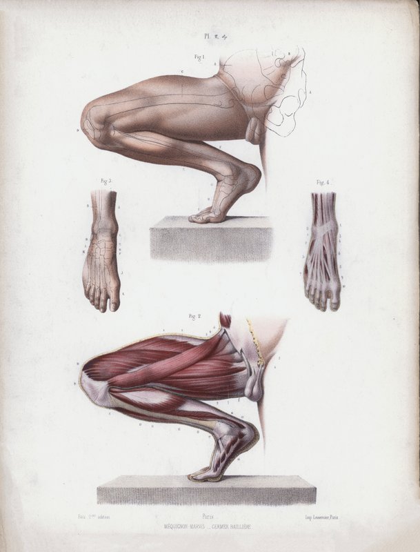 Illustrazione per L