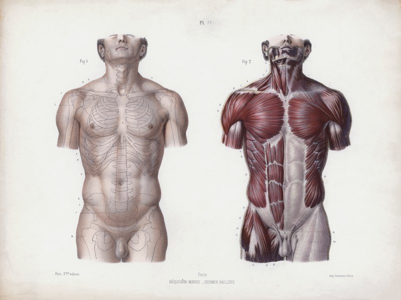 Illustrazione per L