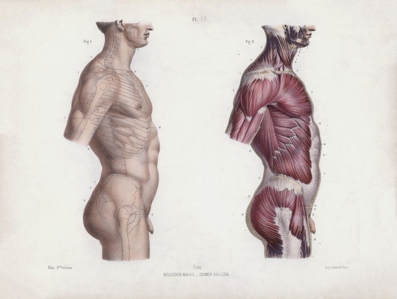 Illustrazione per L
