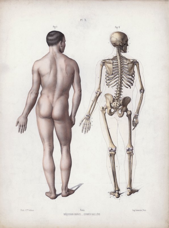 Illustrazione per L
