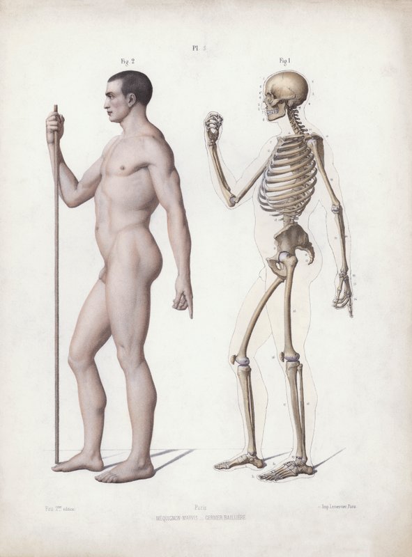 Illustrazione per L