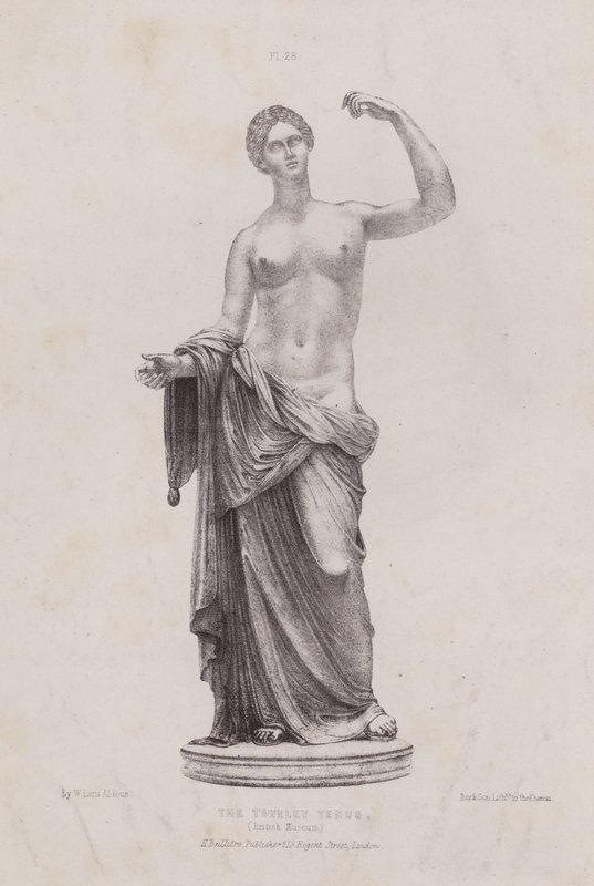 Illustrazione per L