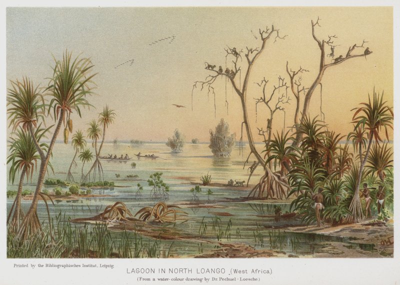 Laguna nel Nord Loango, Africa Occidentale da European School