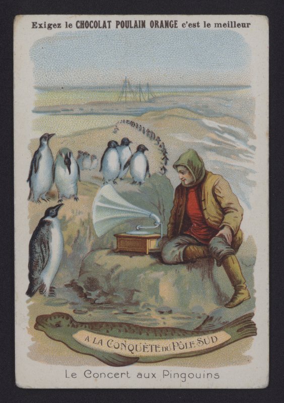 Il Concerto dei Pinguini da European School
