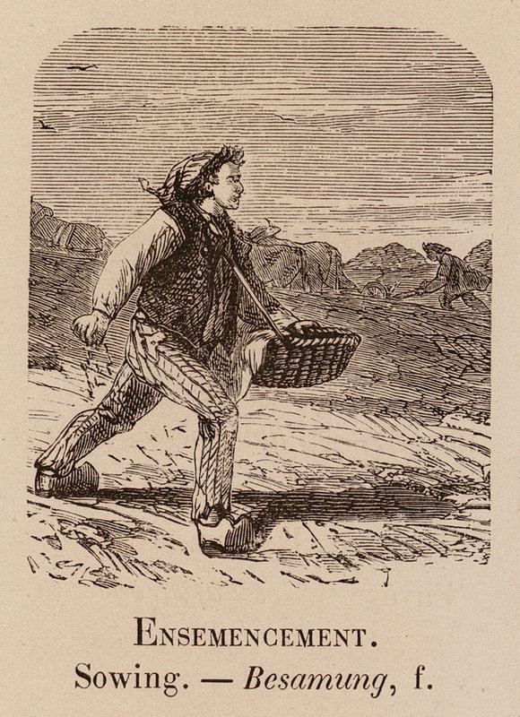 Le Vocabulaire Illustre: Semina; Sowing; Besamung da European School