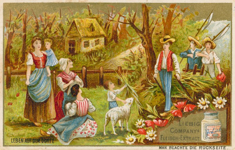 Vita nel villaggio da European School