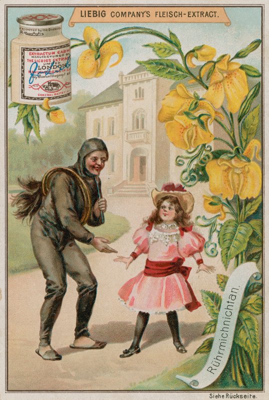 Mimosa da European School