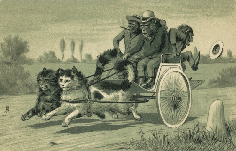 Scimmie che guidano una carrozza trainata da due gatti da European School