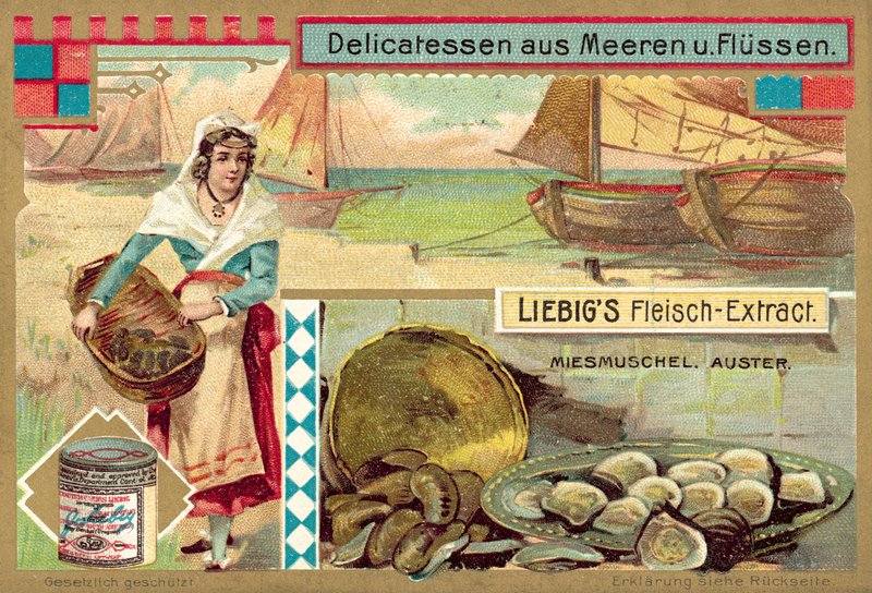 Cozze e ostriche da European School
