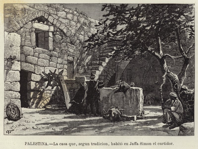 Palestina, La casa che, secondo la tradizione, abitò a Giaffa Simone il conciatore da European School