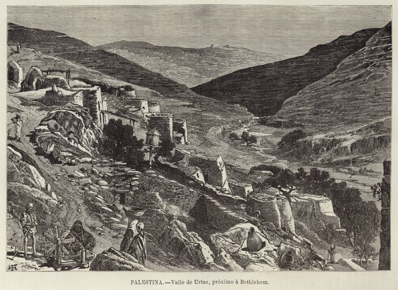Palestina, Valle di Urtas, vicino a Betlemme da European School