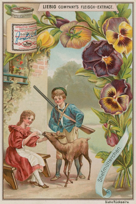 Viola del pensiero da European School