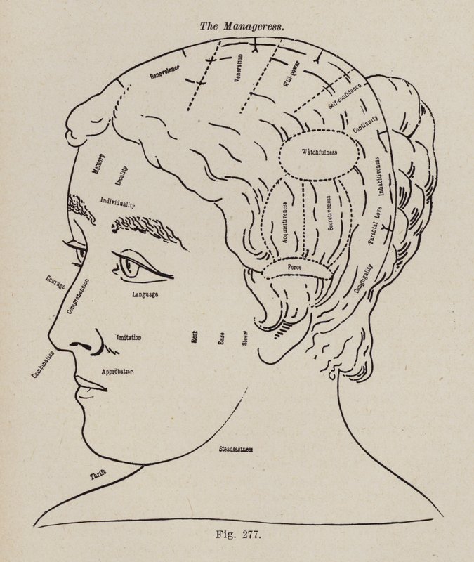 Frenologia, una direttrice (litografia) da European School