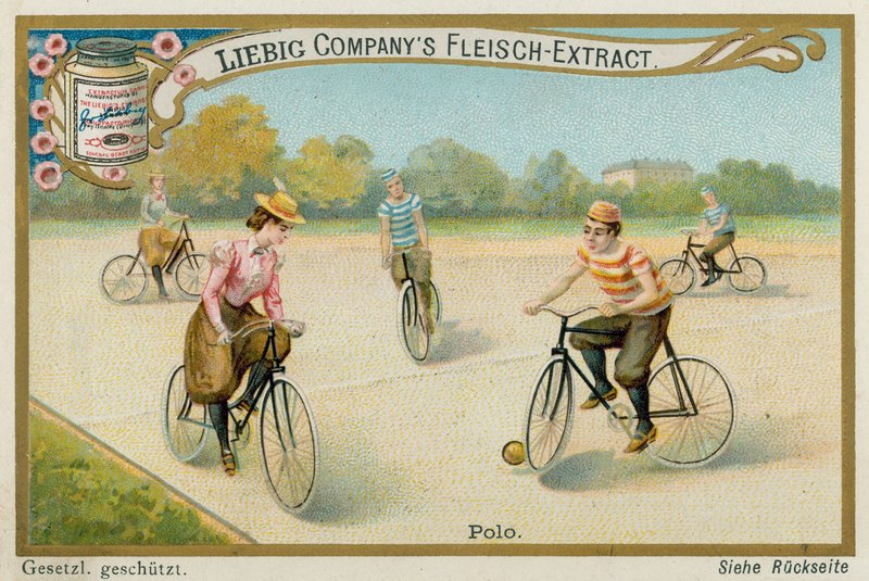 Polo da European School