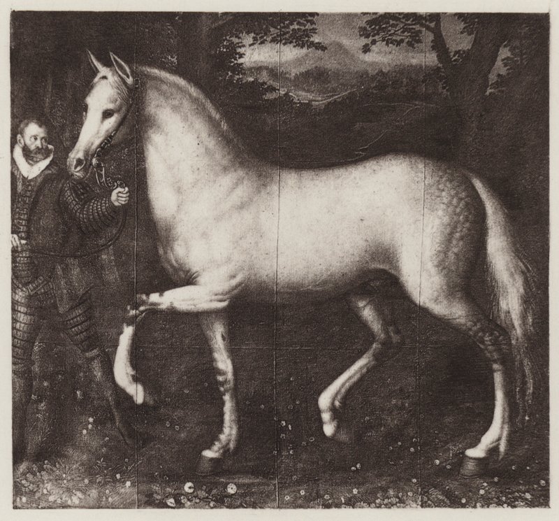Il Cavallo della Regina Elisabetta da European School