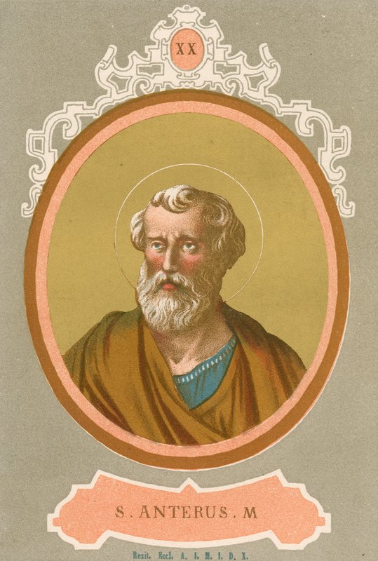 S Anterus M da European School
