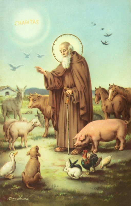 San Francesco d
