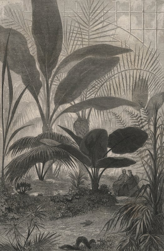 Un giardino d