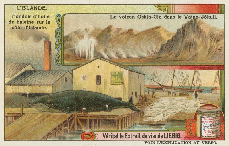 Fabbrica di olio di balena e un vulcano nel ghiacciaio Vatna da European School
