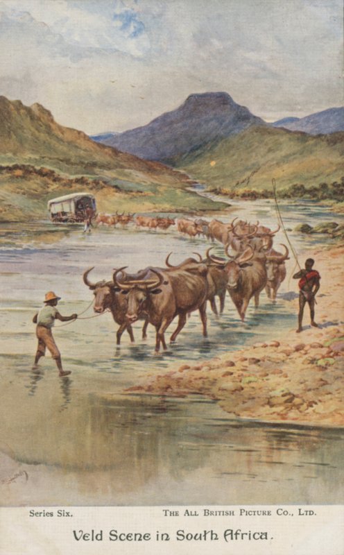 Contadini che guidano il bestiame, Sudafrica (litografia a colori) da Evelyn Stuart Hardy