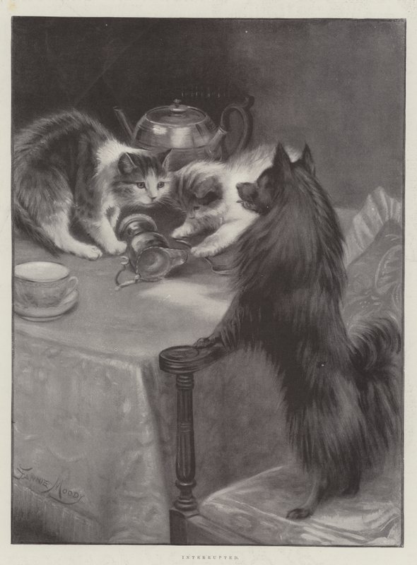 Interrotto da Fannie Moody
