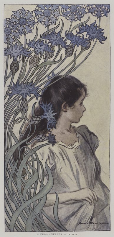 Fiori animati. Il Fiordaliso. (litografia a colori) da Firmin (after) Bouisset