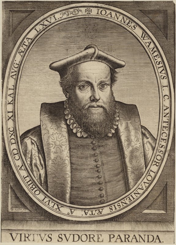 Ritratto di Jan Wamesius da Flemish School
