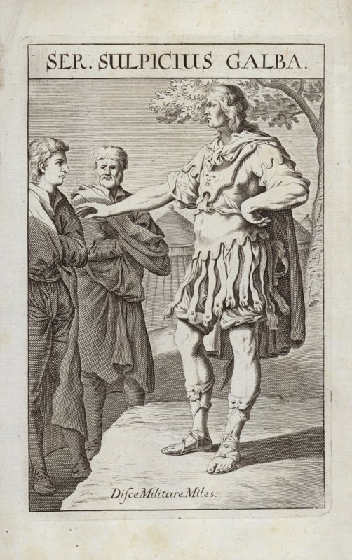 Ser Sulpicio Galba da Flemish School