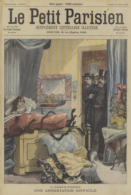 Il difficile arresto di un incantatore di serpenti da Fortune Louis Meaulle