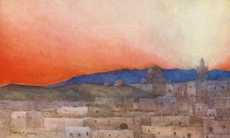 Un bagliore del deserto da Frances Nesbitt