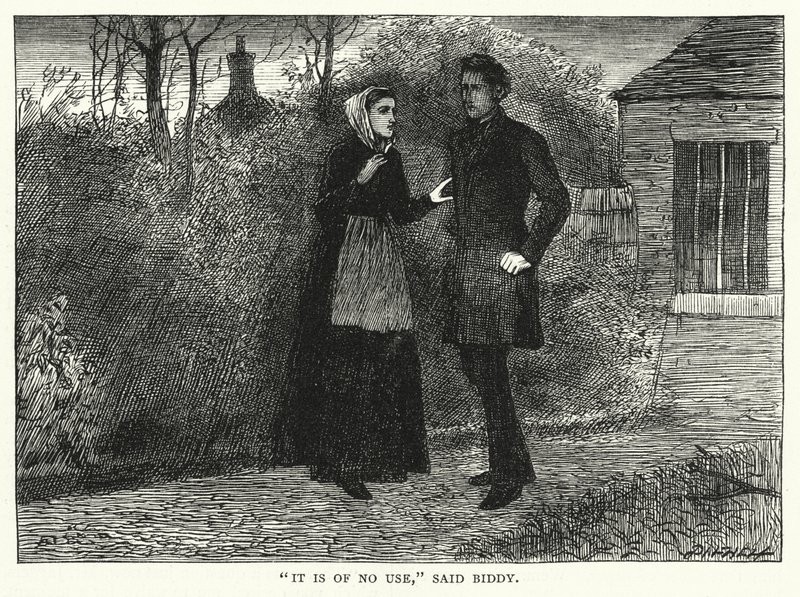 Illustrazione per Grandi Speranze di Charles Dickens (incisione) da Francis Arthur Fraser