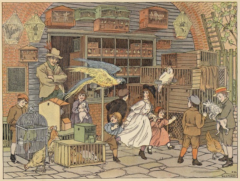 Libro dei negozi di Bedford: Pasticciere di uccelli (litografia a colori) da Francis Donkin Bedford