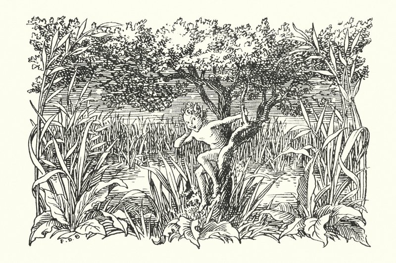 Merrie England: Robin Goodfellow (litografia) da Francis Donkin Bedford