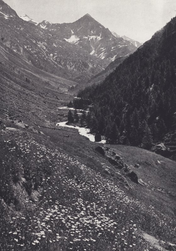 Alpi Orientali: Nella Valle di Windach da Francis Sydney Smythe